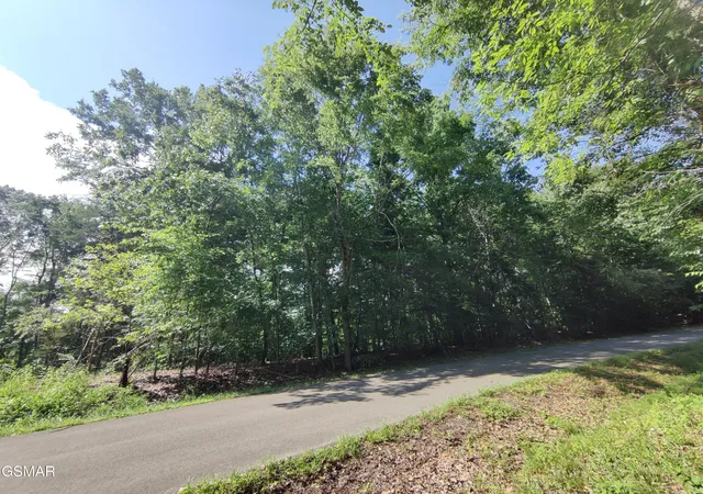 Land for sale at 3347 Mountain View Ln, White Pine, TN 37890 | MLS# 3270188