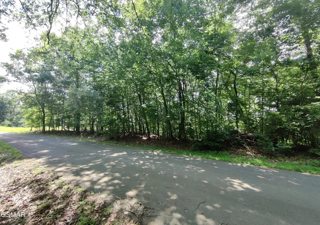Photo 1 of Land for sale at 3347 Mountain View Ln, White Pine, TN 37890 | MLS# 3270188 | Listing updated on 2026-09-11
