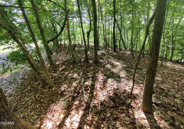Photo 3 of Land for sale at 3347 Mountain View Ln, White Pine, TN 37890 | MLS# 3270188 | Listing updated on 2026-09-11