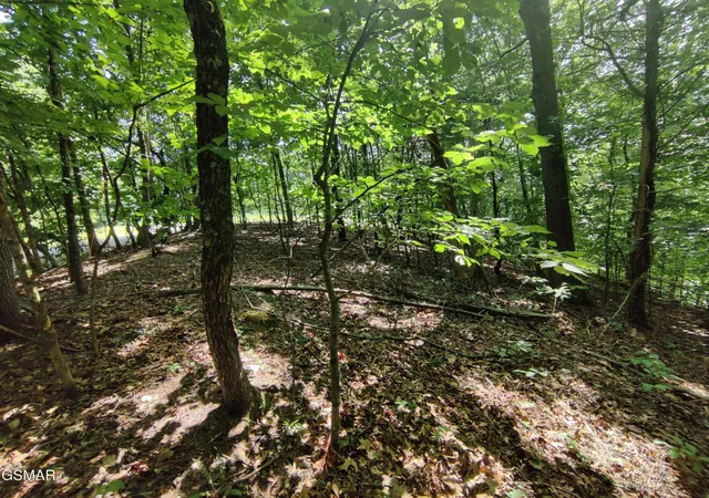 Photo 4 of Land for sale at 3347 Mountain View Ln, White Pine, TN 37890 | MLS# 3270188 | Listing updated on 2026-09-11