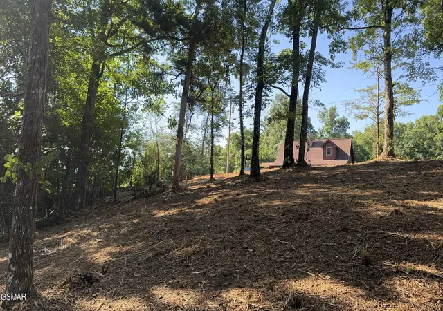Photo 4 of Land for sale at 13 Rupert Dr, Dandridge, TN 37725 | MLS# 3270168 | Listing updated on 2026-09-11