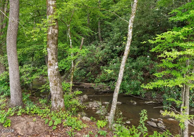 Photo 3 of Single family home for sale at 2215 Sawmill Cv Dr, Sevierville, TN 37862 | MLS# 3288523 | Listing updated on 2026-09-11