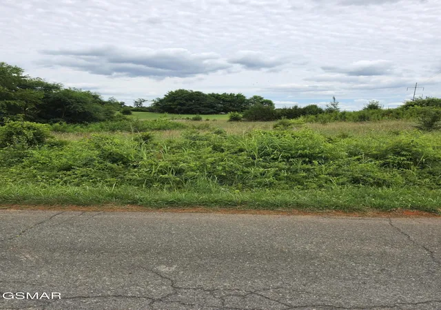 Photo 2 of Land for sale at 18 Baker Springs Rd, White Pine, TN 37890 | MLS# 3304010 | Listing updated on 2026-09-11