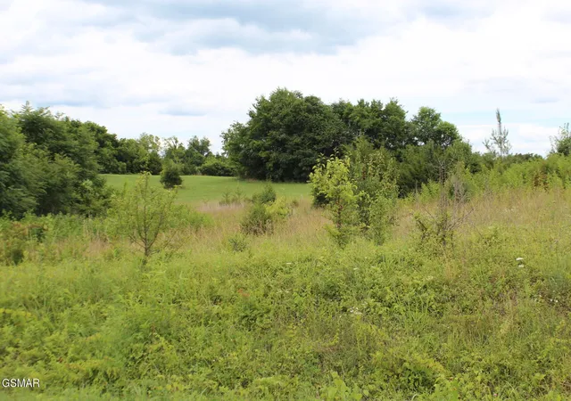 Photo 3 of Land for sale at 18 Baker Springs Rd, White Pine, TN 37890 | MLS# 3304010 | Listing updated on 2026-09-11