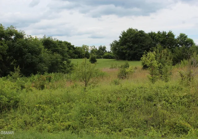 Photo 4 of Land for sale at 18 Baker Springs Rd, White Pine, TN 37890 | MLS# 3304010 | Listing updated on 2026-09-11