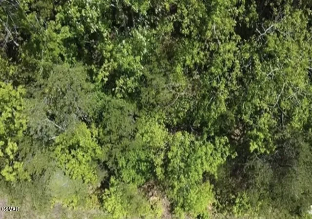 Photo 1 of Land for sale at 81 Yellowwood Dr, Sevierville, TN 37876 | MLS# 3270060 | Listing updated on 2026-09-11