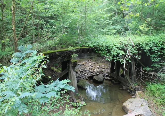 Photo 3 of Land for sale at 2 Straight Frk Rd, Huntsville, TN 37756 | MLS# 3245936 | Listing updated on 2026-09-11