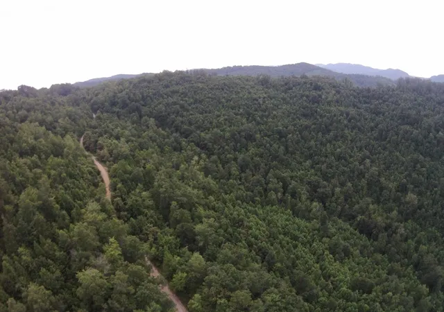 Photo 3 of Land for sale at 2 Straight Frk Rd, Huntsville, TN 37756 | MLS# 3245936 | Listing updated on 2026-09-11