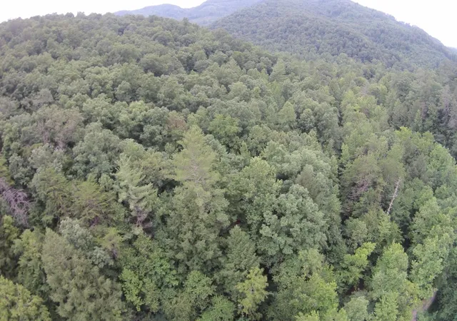 Photo 4 of Land for sale at 2 Straight Frk Rd, Huntsville, TN 37756 | MLS# 3245936 | Listing updated on 2026-09-11