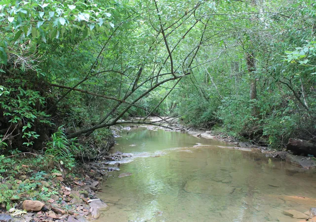 Photo 3 of Land for sale at 3 Straight Frk Rd, Huntsville, TN 37756 | MLS# 3246034 | Listing updated on 2026-09-11