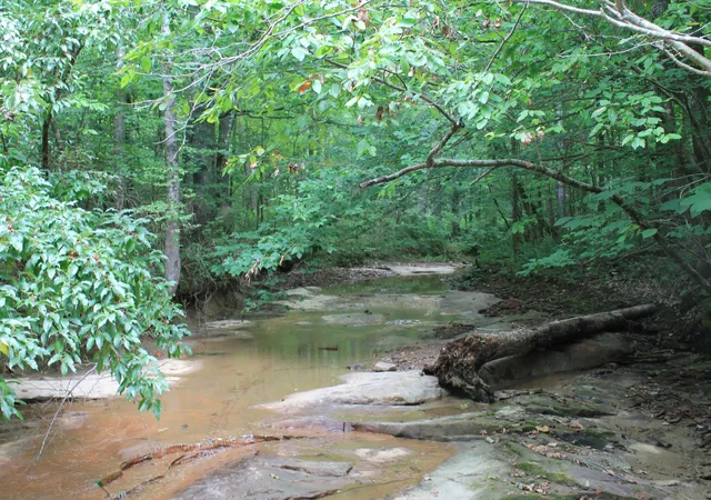 Photo 3 of Land for sale at 3 Straight Frk Rd, Huntsville, TN 37756 | MLS# 3246034 | Listing updated on 2026-09-11