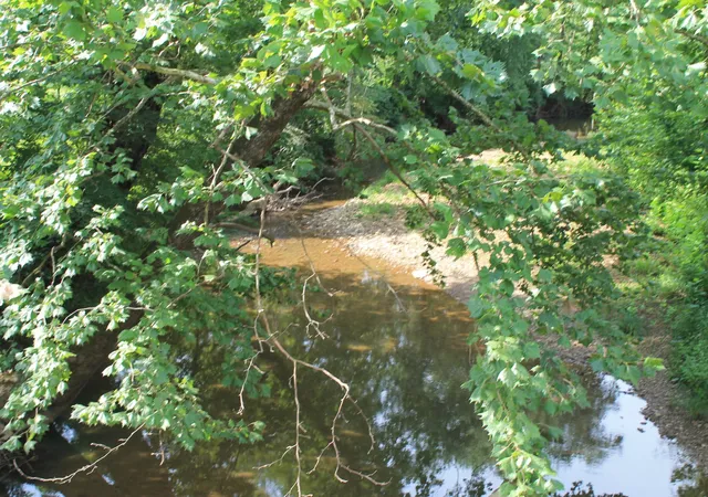 Photo 4 of Land for sale at 3 Straight Frk Rd, Huntsville, TN 37756 | MLS# 3246034 | Listing updated on 2026-09-11