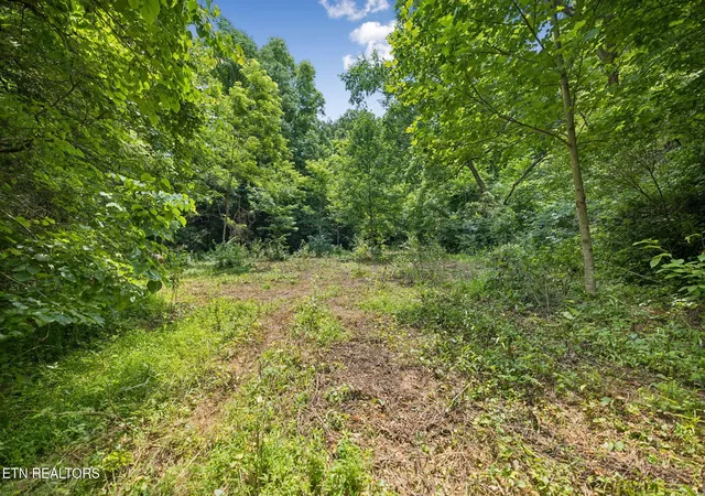 Photo 1 of Land for sale at 0 Knob Rd, Rutledge, TN 37861 | MLS# 3311784 | Listing updated on 2026-09-11