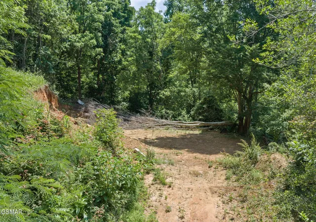 Photo 3 of Land for sale at 520 Verless Ogle Rd, Sevierville, TN 37876 | MLS# 3591626 | Listing updated on 2026-09-24