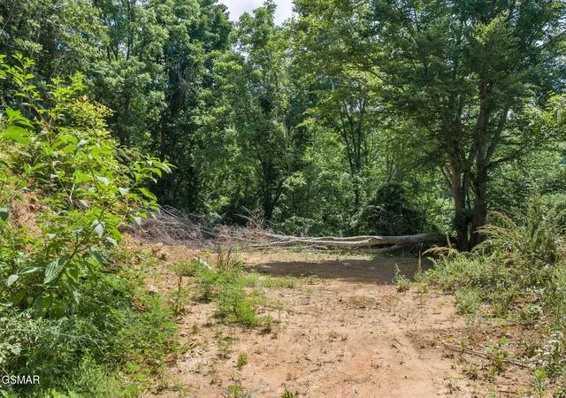 Photo 4 of Land for sale at 520 Verless Ogle Rd, Sevierville, TN 37876 | MLS# 3591626 | Listing updated on 2026-09-24