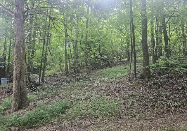 Photo 3 of Land for sale at 658 Corvin Rd Ne, Cleveland, TN 37323 | MLS# 3251299 | Listing updated on 2026-09-24