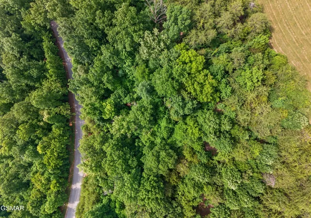Photo 4 of Land for sale at 452 Silver Trl, New Tazewell, TN 37825 | MLS# 3591632 | Listing updated on 2026-09-15