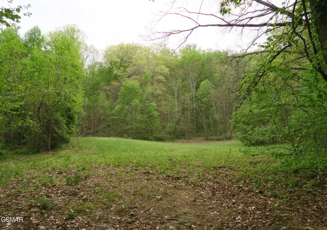 Photo 1 of Land for sale at 250 Mountain Side Ln, Lake City, TN 37769 | MLS# 3278475 | Listing updated on 2026-09-11