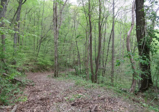 Photo 2 of House for sale at 250 Mountain Side Ln, Lake City, TN 37769 | MLS# 3278475 | Listing updated on 2026-09-11
