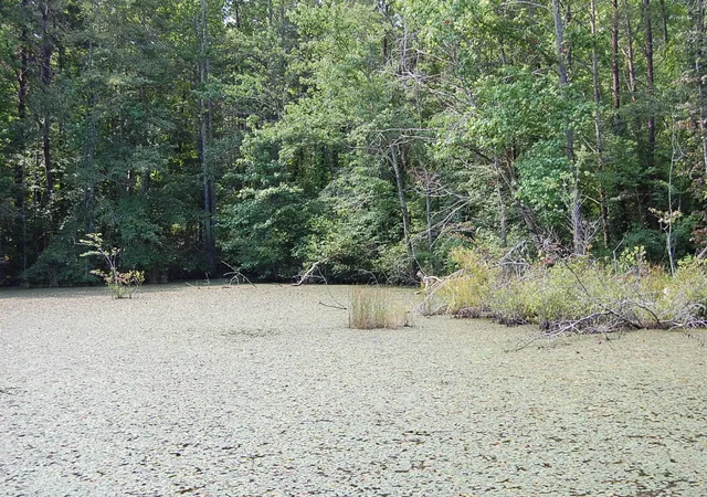 Photo 1 of Land for sale at 57 Hugh Allison Rd, Pikeville, TN 37367 | MLS# 3250302 | Listing updated on 2026-09-11