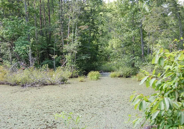 Photo 2 of Land for sale at 57 Hugh Allison Rd, Pikeville, TN 37367 | MLS# 3250302 | Listing updated on 2026-09-11