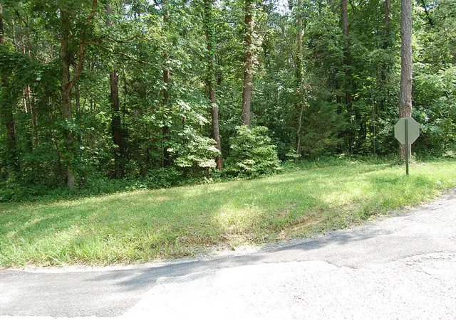 Photo 3 of Land for sale at 57 Hugh Allison Rd, Pikeville, TN 37367 | MLS# 3250302 | Listing updated on 2026-09-11