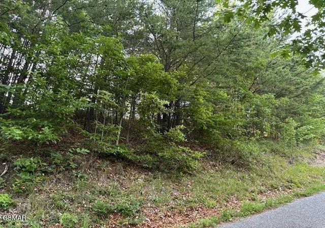 Photo 2 of Land for sale at 0 Top Rd, Sevierville, TN 37876 | MLS# 3265787 | Listing updated on 2026-10-24