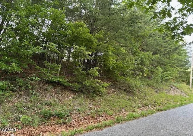 Photo 3 of Land for sale at 0 Top Rd, Sevierville, TN 37876 | MLS# 3265787 | Listing updated on 2026-10-24