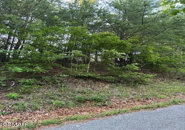 Photo 4 of Land for sale at 0 Top Rd, Sevierville, TN 37876 | MLS# 3265787 | Listing updated on 2026-10-24