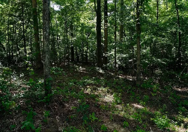 Photo 1 of Land for sale at 0 Jeanette Holladay Rd, Parsons, TN 38363 | MLS# 3258316 | Listing updated on 2026-09-15