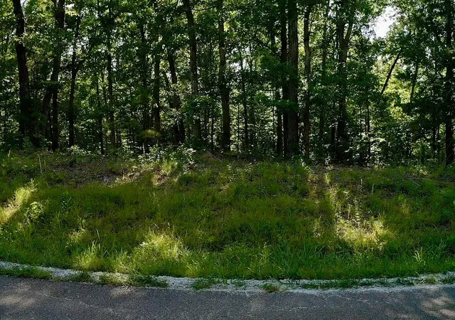 Photo 4 of Land for sale at 0 Jeanette Holladay Rd, Parsons, TN 38363 | MLS# 3258316 | Listing updated on 2026-09-15