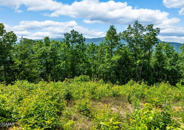Photo 3 of Land for sale at 648 Almost Heaven Way, Gatlinburg, TN 37738 | MLS# 3591675 | Listing updated on 2026-09-14