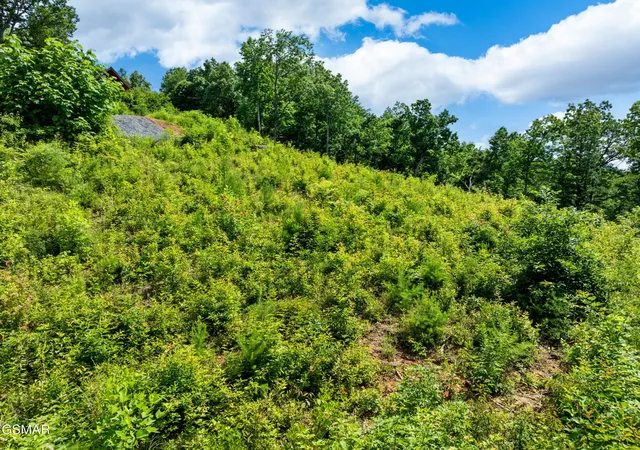 Photo 4 of Land for sale at 648 Almost Heaven Way, Gatlinburg, TN 37738 | MLS# 3591675 | Listing updated on 2026-09-14