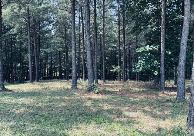 Photo 3 of Land for sale at 1711 Raulston Fls Rd, Jasper, TN 37347 | MLS# 3260170 | Listing updated on 2026-09-22