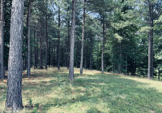 Photo 4 of Land for sale at 1711 Raulston Fls Rd, Jasper, TN 37347 | MLS# 3260170 | Listing updated on 2026-09-22