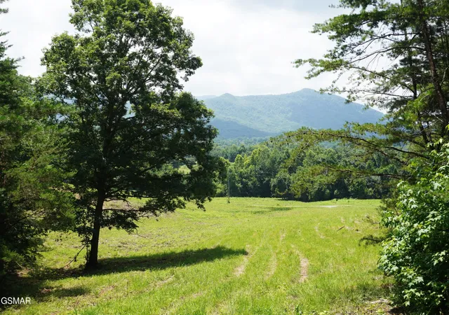 Photo 3 of House for sale at 0 Rhyne Camp Rd, Newport, TN 37821 | MLS# 3281427 | Listing updated on 2026-09-11