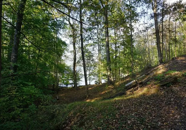 Photo 3 of Land for sale at 3132 Cherokee Cir, Ten Mile, TN 37880 | MLS# 3260482 | Listing updated on 2026-09-11