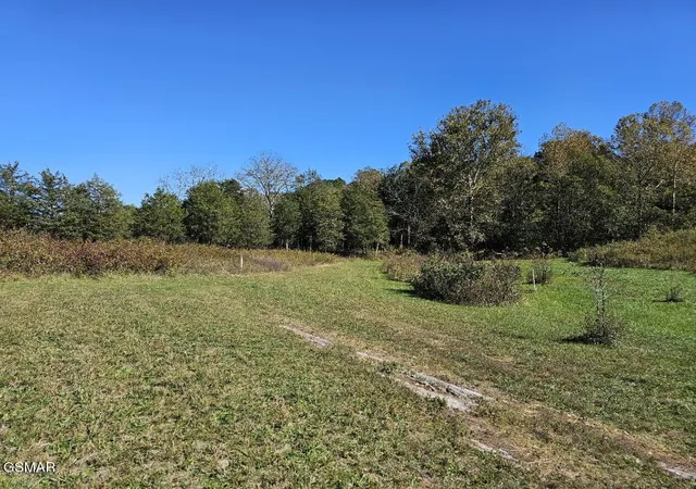 Photo 3 of Land for sale at 35 Shoreline Vista, Sharps Chapel, TN 37866 | MLS# 3306758 | Listing updated on 2026-09-11