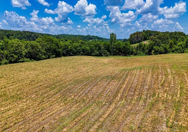 Photo 2 of Land for sale at 0 Flintsprings Rd Se, Cleveland, TN 37323 | MLS# 3261048 | Listing updated on 2026-09-08