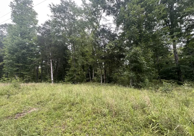 Land for sale at 7 Toms Crk Lake Rd, Linden, TN 37096 | MLS# 3261081