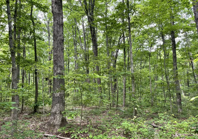 Photo 3 of Land for sale at 328 James Turner Rd, Tracy City, TN 37387 | MLS# 3262650 | Listing updated on 2026-09-14