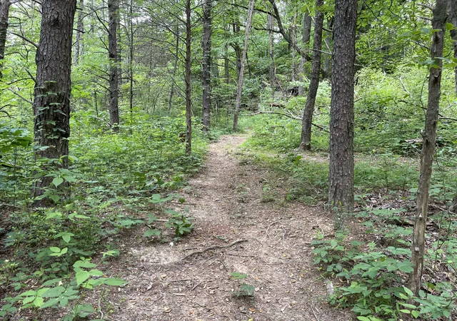 Photo 4 of Land for sale at 328 James Turner Rd, Tracy City, TN 37387 | MLS# 3262650 | Listing updated on 2026-09-14