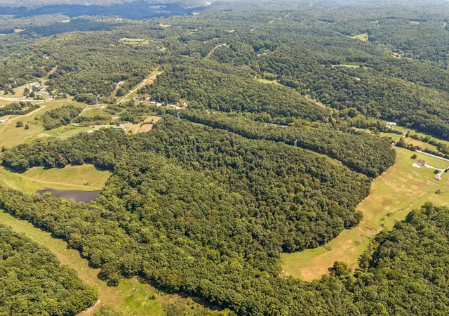 Land for sale at 5877 Campbellsville Pike, Lynnville, TN 38472 | MLS# 3542725