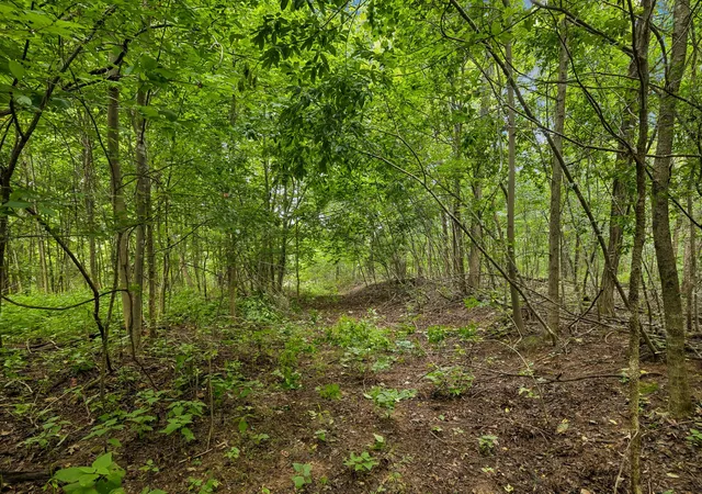 Photo 3 of Land for sale at 5877 Campbellsville Pike, Lynnville, TN 38472 | MLS# 3542725 | Listing updated on 2026-10-08
