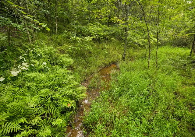 Photo 3 of Land for sale at 5877 Campbellsville Pike, Lynnville, TN 38472 | MLS# 3542725 | Listing updated on 2026-10-08