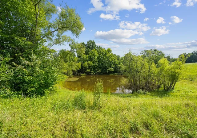 Photo 4 of Land for sale at 5744 Green Chapel Rd, Franklin, TN 37064 | MLS# 3263235 | Listing updated on 2026-09-23