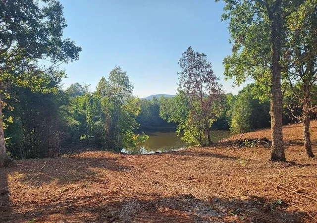 Photo 2 of Land for sale at 0 Myers Cvs Rd, Mc Minnville, TN 37110 | MLS# 3270138 | Listing updated on 2026-10-05