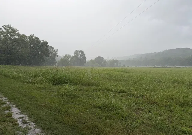Photo 1 of Land for sale at 4027 Panhandle Rd, Wartrace, TN 37183 | MLS# 3272316 | Listing updated on 2026-09-11