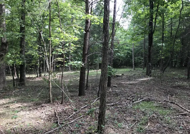 Photo 4 of Land for sale at 0 Quail Trl, Dunlap, TN 37327 | MLS# 3276638 | Listing updated on 2026-09-11