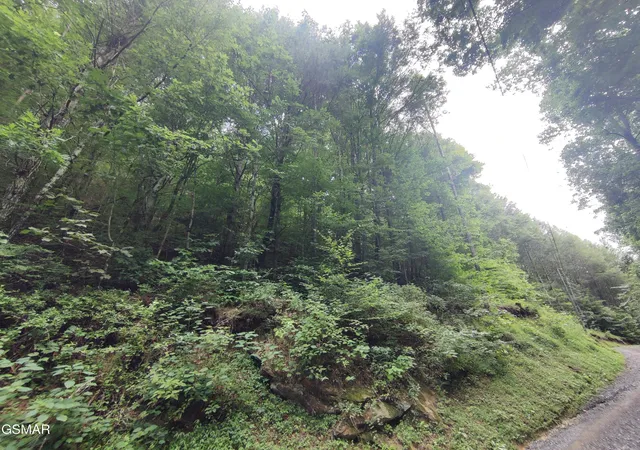 Photo 1 of Land for sale at 0 Old Hag Holw Way, Sevierville, TN 37876 | MLS# 3280789 | Listing updated on 2026-09-11